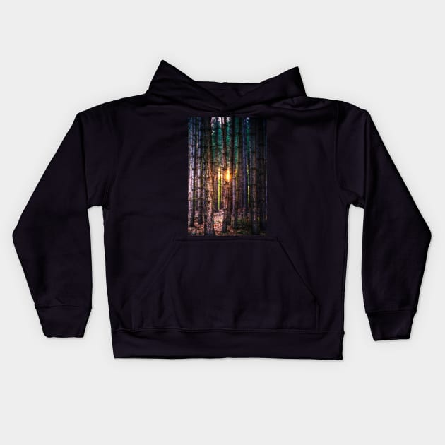 A Light in the Trees Kids Hoodie by Nigdaw